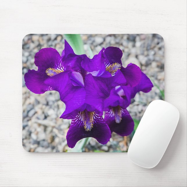 Beautiful purple iris mouse mat (With Mouse)