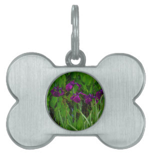 Beautiful Purple Iris Pet Name Tag