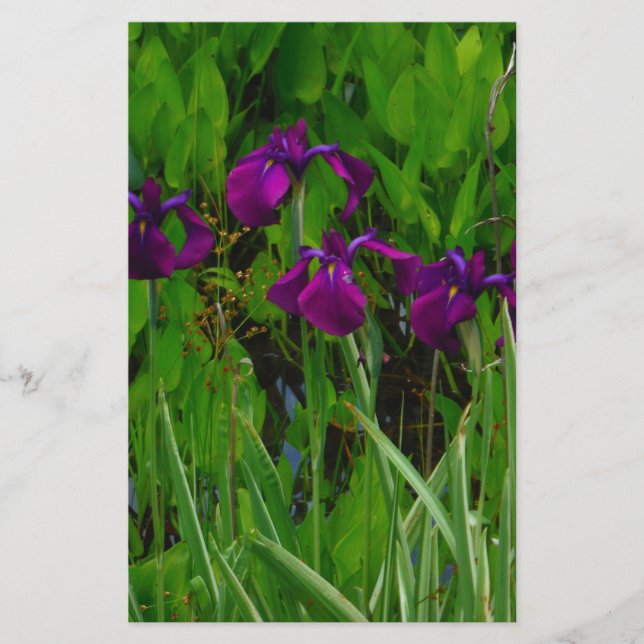 Beautiful Purple Iris Stationery (Front)