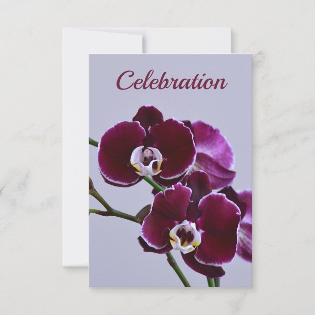 Beautiful Purple Orchid Celebration Invitation (Front)