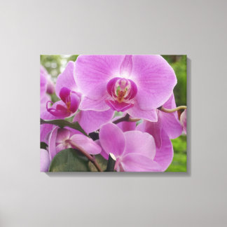 Beautiful purple orchid in full bloom. canvas print