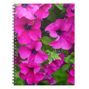 Beautiful purple petunias print notebook