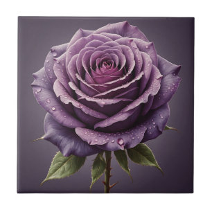Beautiful purple rose tile