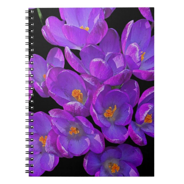 Beautiful Purple Spring Crocuses Floral Notebook (Front)