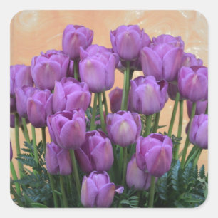 Beautiful purple spring tulips square sticker