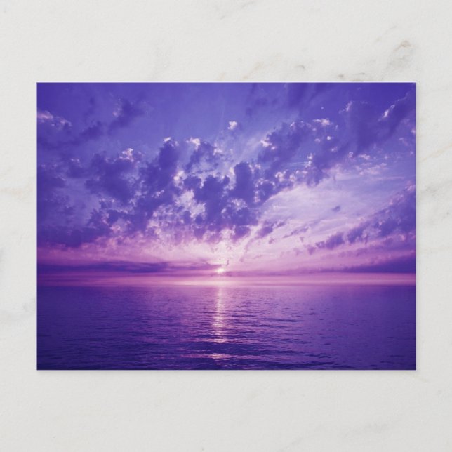 Beautiful purple sunset postcard (Front)