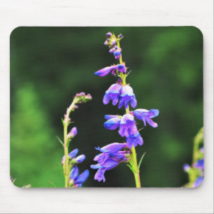 Beautiful Purple Wildflowers Blooming in Canada Mouse Mat