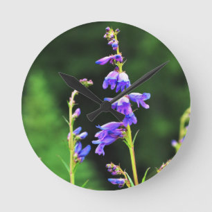 Beautiful Purple Wildflowers Blooming in Canada Round Clock