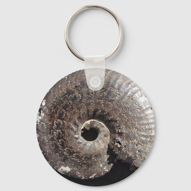 Beautiful pyrite ammonite fossil showing sutures key ring (Front)
