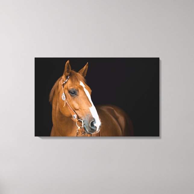 Beautiful Quarter Horse Photo Canvas (Front)