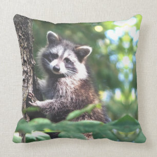 Beautiful racoon on the jungle cushion