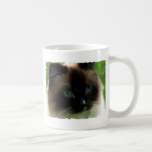 Beautiful Ragdoll Cat Mug (Right)