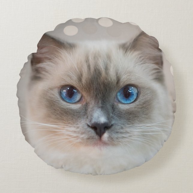 Beautiful Ragdoll Cat on Beige Round Cushion (Front)