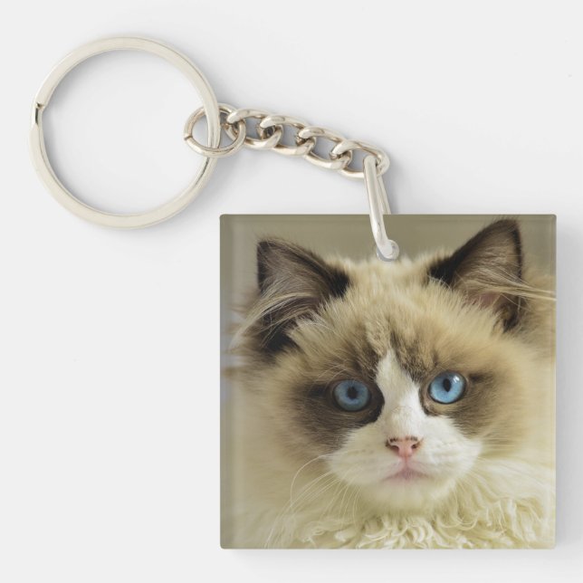 Beautiful Ragdoll Cat with Blue Eyes Key Ring (Front)