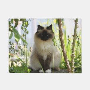 Beautiful Ragdoll Doormat