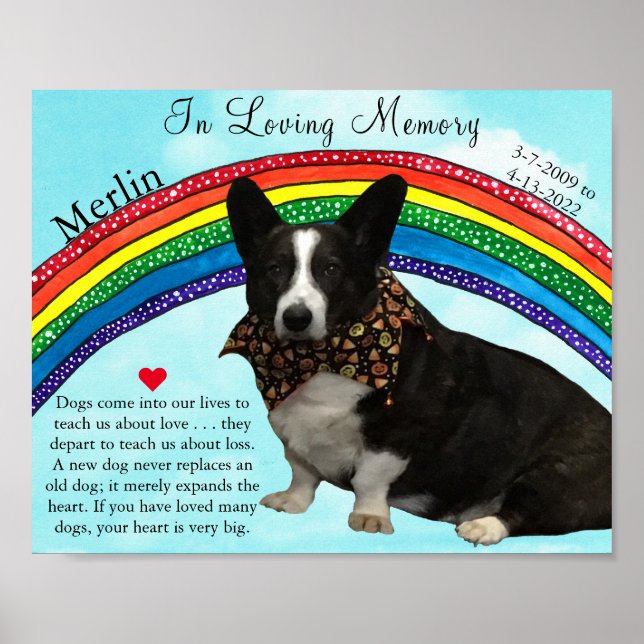Beautiful Rainbow Pet Memorial Poster (Front)