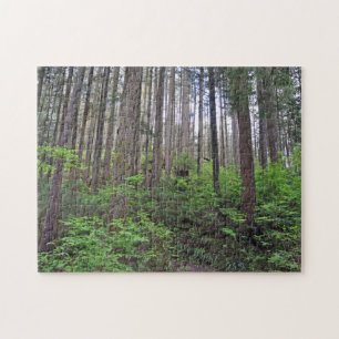 Beautiful rainforest  jigsaw puzzle