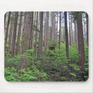 Beautiful rainforest     mouse mat