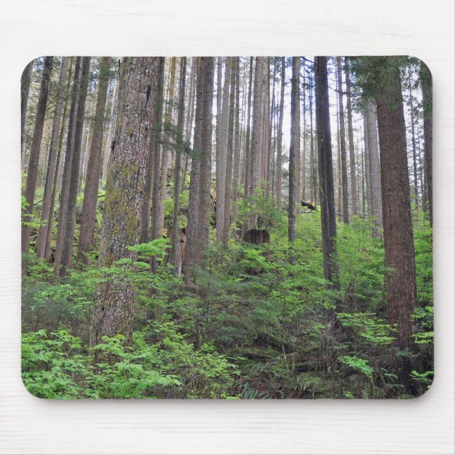 Beautiful rainforest     mouse mat (Front)