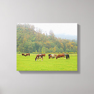Beautiful ranch, cows & green pasture, farm scene canvas print