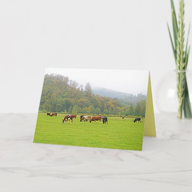 Beautiful ranch, cows & green pasture, farm scene card (Front)
