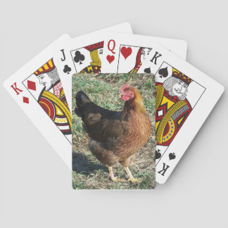 Beautiful Rare Chicken Breed Welsummer Hen Playing Cards