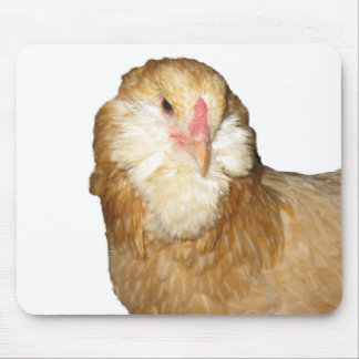 Beautiful Rare Wheaten Ameraucana Hens Chickens Mouse Mat