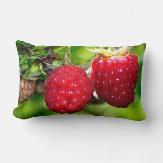 Beautiful raspberries red wild berries  lumbar cushion (Front)