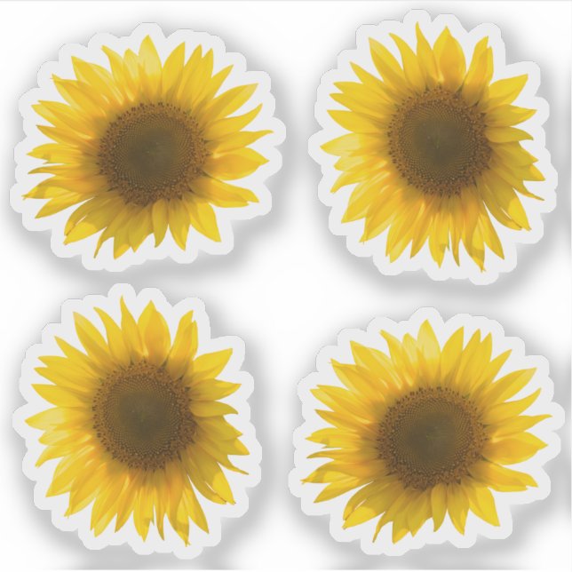 Beautiful Real Sunflower Photo Minimalist Pattern (Front)