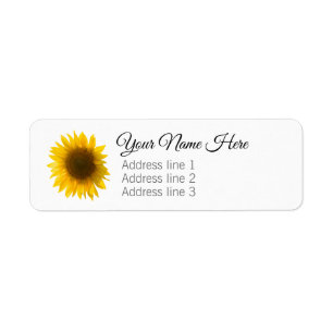 Beautiful Real Sunflower Photo Minimalist Pattern