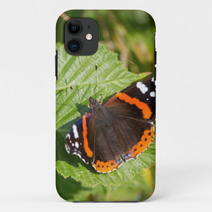 Beautiful Red Admiral Butterfly iPhone 5/5s Case