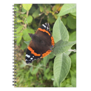Beautiful Red Admiral Butterfly Notebook