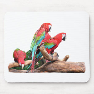 beautiful red and blue parrots mouse mat