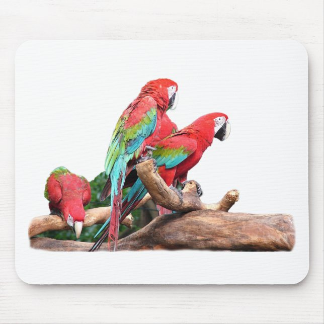 beautiful red and blue parrots mouse mat (Front)