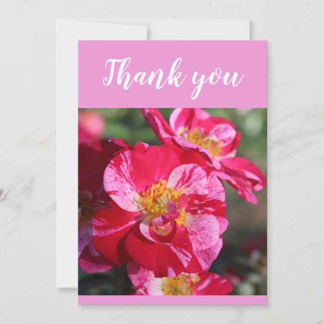 Beautiful Red and Pink Striped Rose Flower Thank You Card (Front)