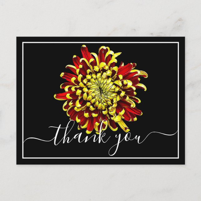 Beautiful Red And Yellow Chrysanthemum Thank You Postcard (Front)