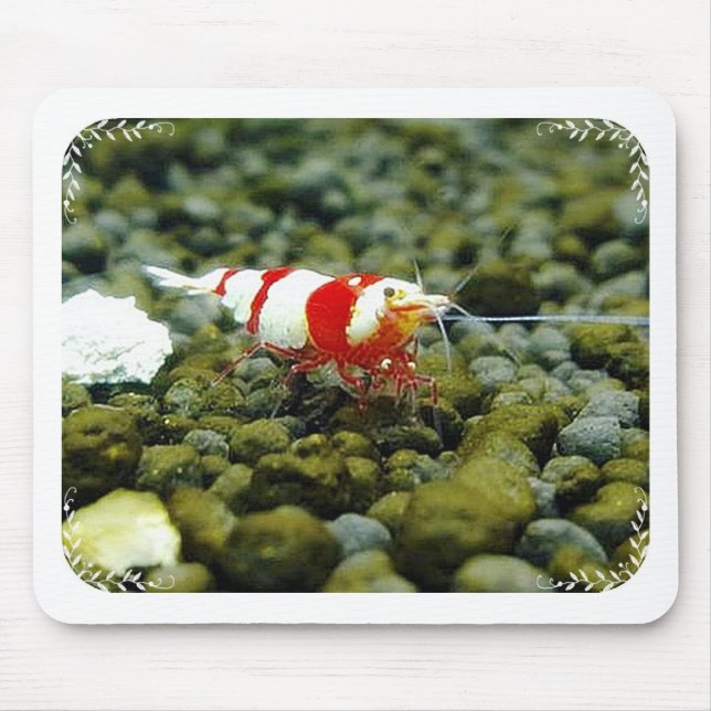 Beautiful Red Bee Shrimp Gift shop Mouse Mat (Front)