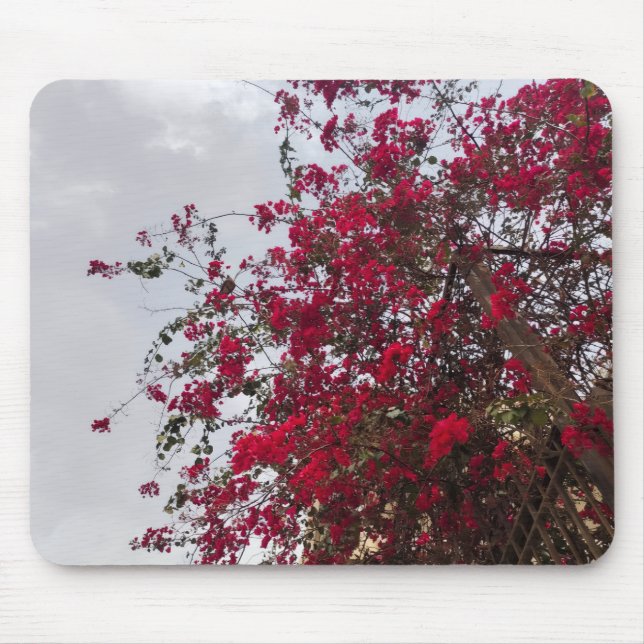 Beautiful red Bougainvillea Flowers & Cloudy Sky  Mouse Mat (Front)