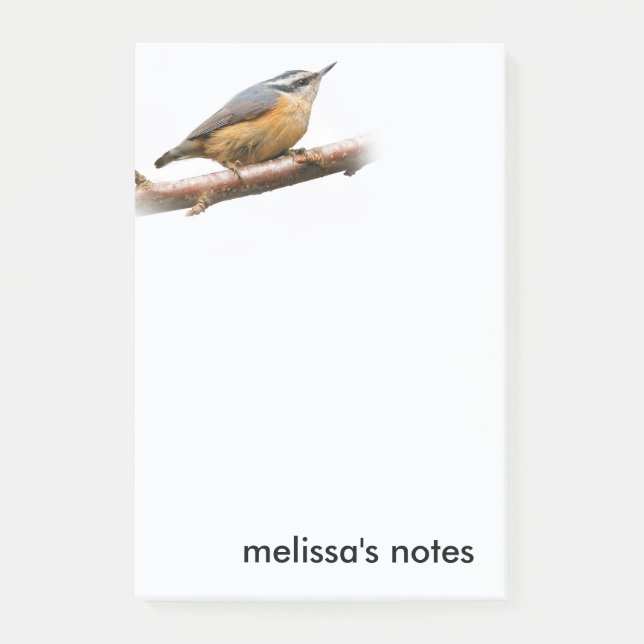 Beautiful Red-Breasted Nuthatch on a Branch Post-it Notes (Front)