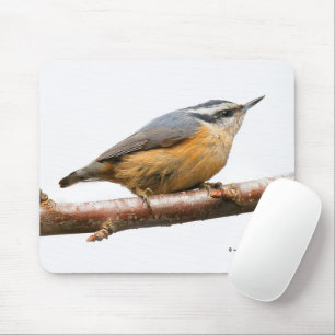 Beautiful Red-Breasted Nuthatch Songbird Mouse Mat