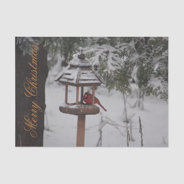 Beautiful Red Cardinal Christmas Tissue Paper (Front)