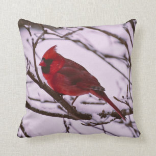 Beautiful Red Cardinal in a Snow Filled Tree Cushion