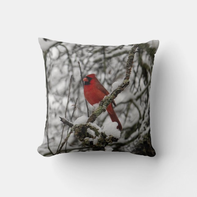Beautiful Red Cardinal in a Snow Filled Tree Cushion (Front)