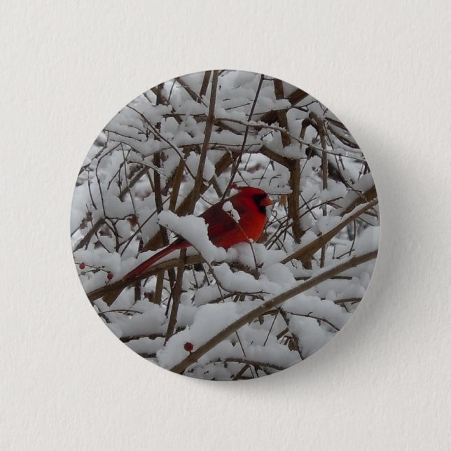Beautiful Red Cardinal in Snow Filled Tree Button (Front)