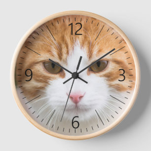 Beautiful red cat clock