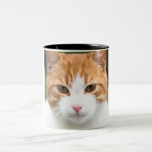 Beautiful red cat Two-Tone coffee mug