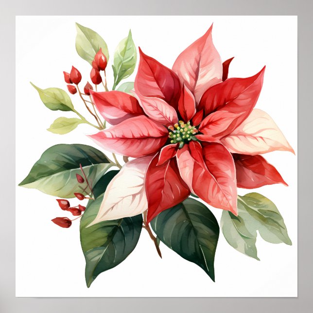 Beautiful Red Christmas Poinsettia Poster (Front)