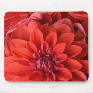Beautiful red dahlia flowers mouse mat