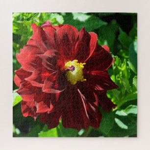 Beautiful red dahlia jigsaw puzzle