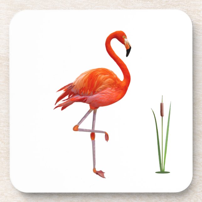 Beautiful Red Flamingo Bird & Reed Plant on White Coaster (Front)